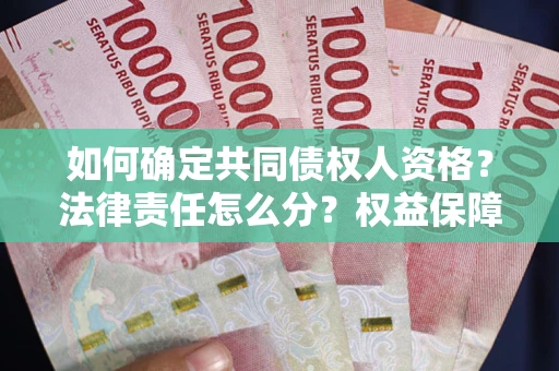 武汉如何确定共同债权人资格？法律责任怎么分？权益保障技巧揭秘！