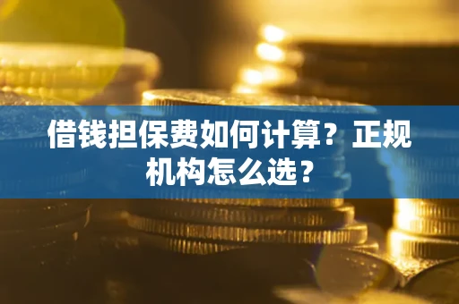 武汉借钱担保费如何计算？正规机构怎么选？