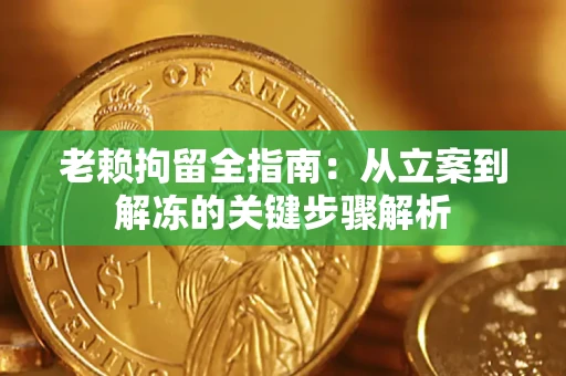 武汉老赖拘留全指南：从立案到解冻的关键步骤解析
