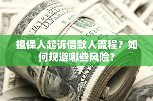 武汉担保人起诉借款人流程？如何规避哪些风险？