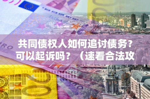 武汉共同债权人如何追讨债务？可以起诉吗？（速看合法攻略）